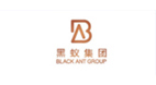 黑蚁集团